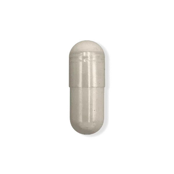 Carnitine supplement