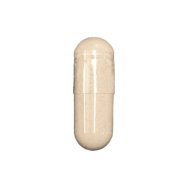 Cordyceps supplement