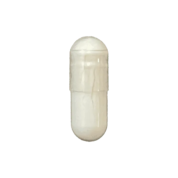 DHEA supplement