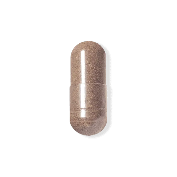 Elderberry supplement