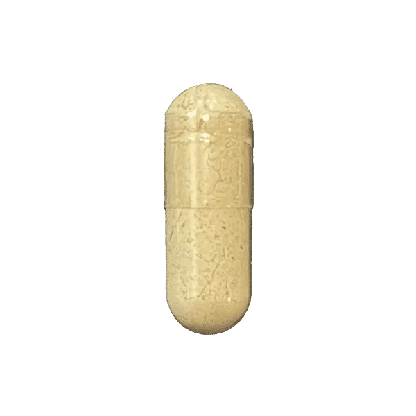 Ginger Root supplement