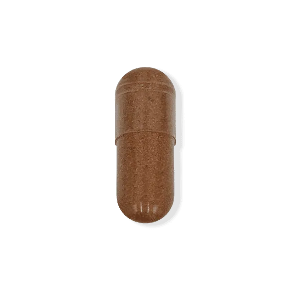 Green Tea Extract 300mg supplement