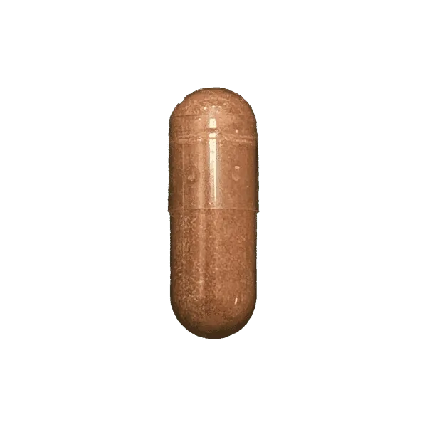 Green Tea Extract 500mg supplement