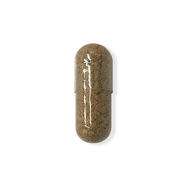 Lion's Mane supplement