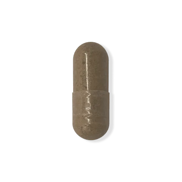 Milk Thistle supplement