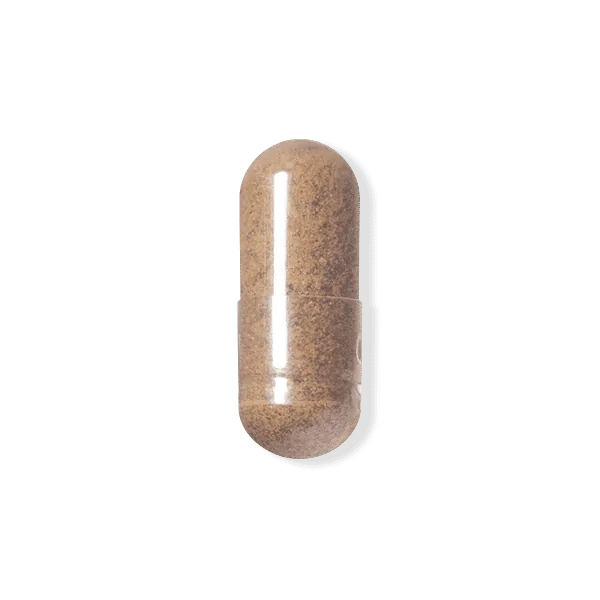Mushroom Immune supplement