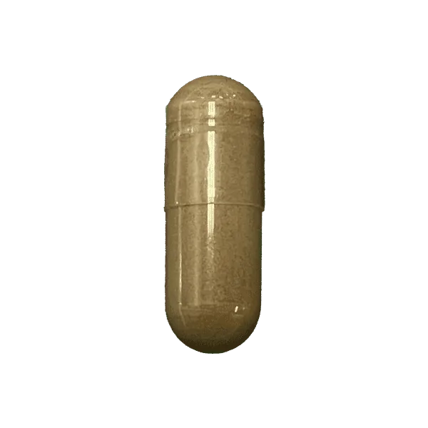 Resveratrol supplement